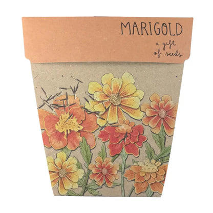 SOW 'N SOW - Gift of Seeds - Marigolds