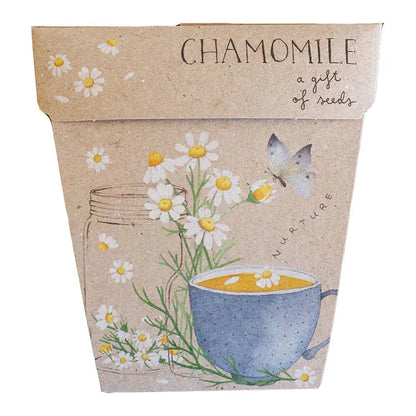 SOW 'N SOW - Gift of Seeds - Chamomile