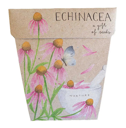 SOW 'N SOW - Gift of Seeds - Echinacea