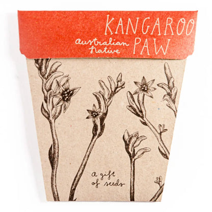 SOW 'N SOW - Gift of Seeds - Kangaroo Paw