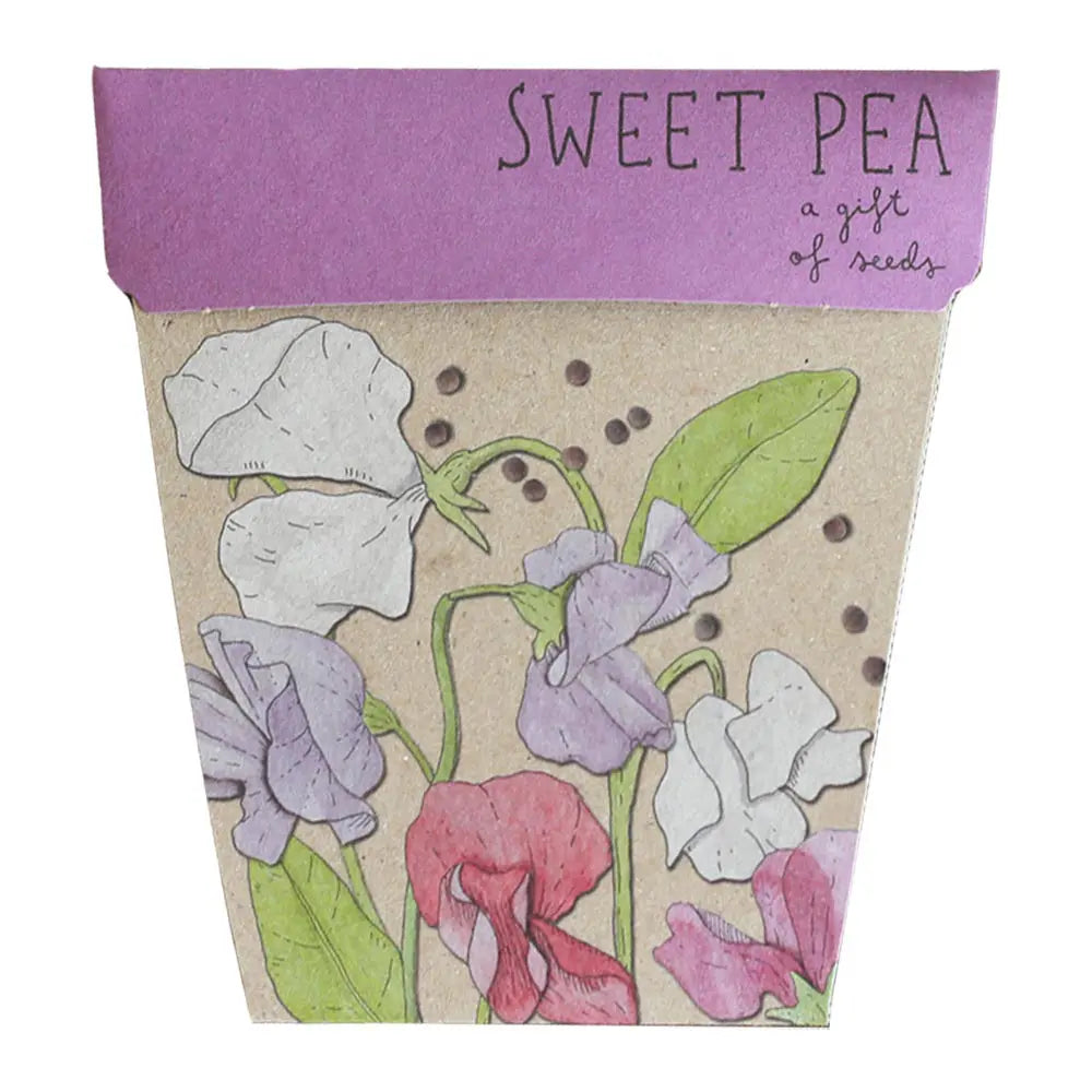 SOW 'N SOW - Gift of Seeds - Sweet Pea