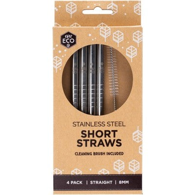 Stainless Steel Straws - Ever Eco - Silver / Short - 4 Pack